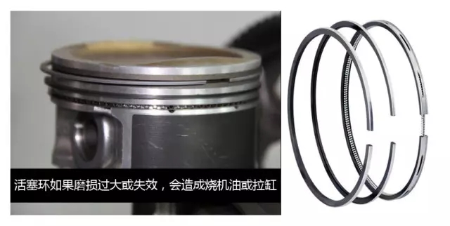 氣門油封